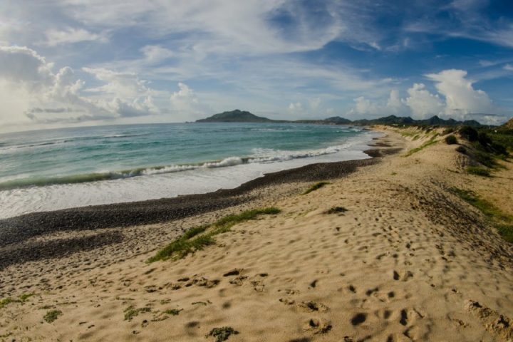 Cabo Pulmo Beaches